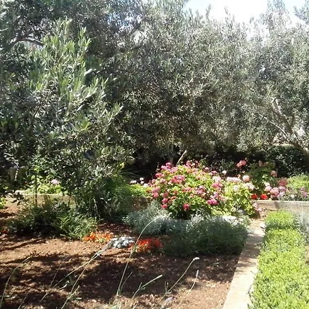 Apartamento Marija *