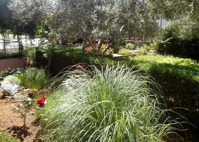 Marija * ピロヴァッツ